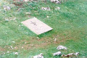 �� �����